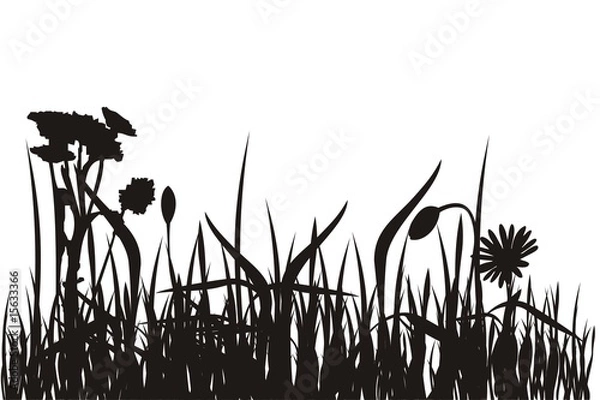 Fototapeta grassland