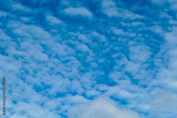Fototapeta Beautiful pattern of altocumulus clouds drifts across vibrant blue sky. Peaceful and serene atmosphere. Textured skyscape, with its soft, cotton-like formations, offers a perfect natural background
