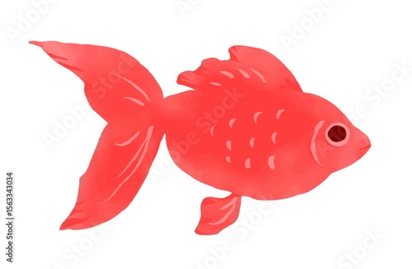 Obraz 水彩風赤い金魚のイラスト