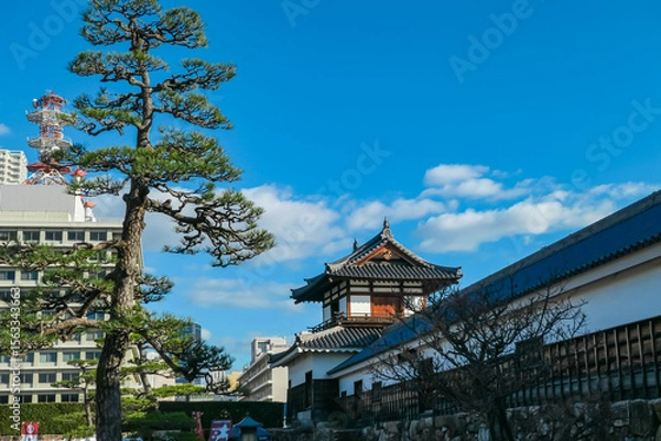 Fototapeta Majestic pine tree frames a traditional turret of Hiroshima Castle, creating a stunning contrast with the modern city skyline of Hiroshima, Japan, all set against a vibrant blue sky on a clear day