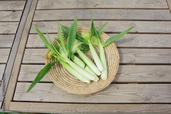 Obraz 新鮮なヤングコーン、トウモロコシ、収穫のイメージ、畑のイメージ、