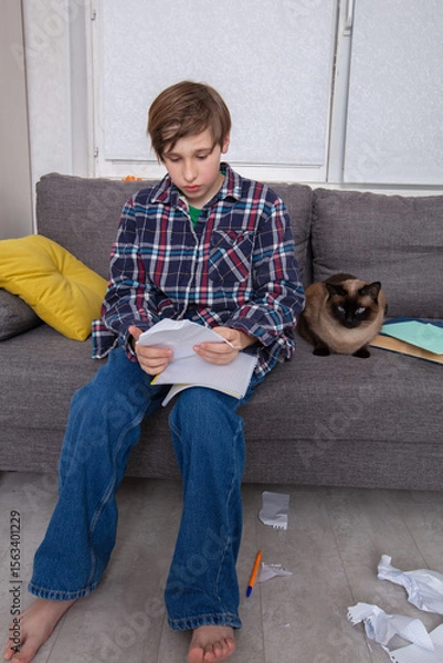 Obraz Boy sits on couch with cat while working on homework in a cozy living room during afternoon