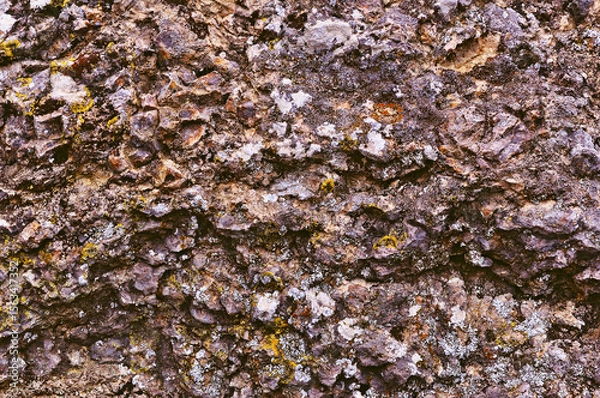 Obraz Stone surface