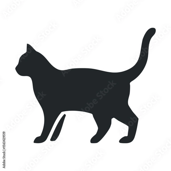 Obraz Silhouette of graceful cat in walking pose