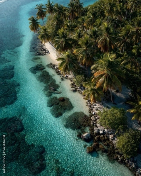 Obraz Aerial View of Tropical Island with Palm Trees and Turquoise Water