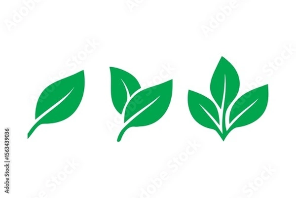 Obraz Illustrative Depiction of Leaf Growth Stages A Study in Natural Progression and Botanical Development with Focus on Green Foliage