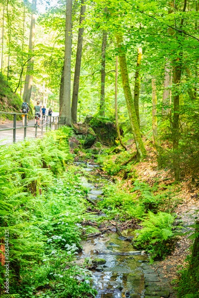 Obraz Scenic forest trail leading to the famous Bastei Bridge in Saxon Switzerland, Germany. Surrounded by lush greenery, sandstone cliffs and a small dam, this popular route offers pure hiking charm