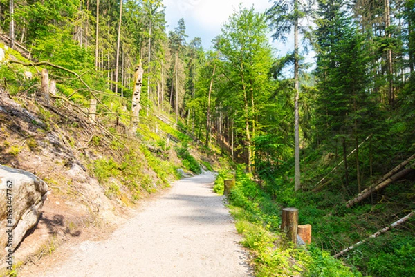 Obraz Scenic forest trail leading to the famous Bastei Bridge in Saxon Switzerland, Germany. Surrounded by lush greenery, sandstone cliffs and a small dam, this popular route offers pure hiking charm