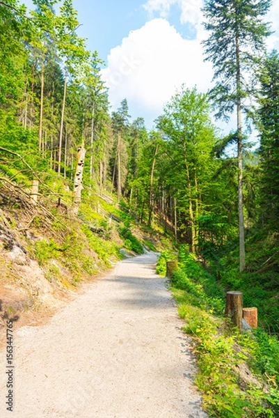 Obraz Scenic forest trail leading to the famous Bastei Bridge in Saxon Switzerland, Germany. Surrounded by lush greenery, sandstone cliffs and a small dam, this popular route offers pure hiking charm