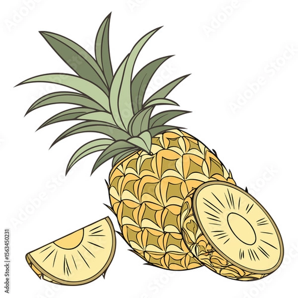 Obraz illustration of pineapple on white background