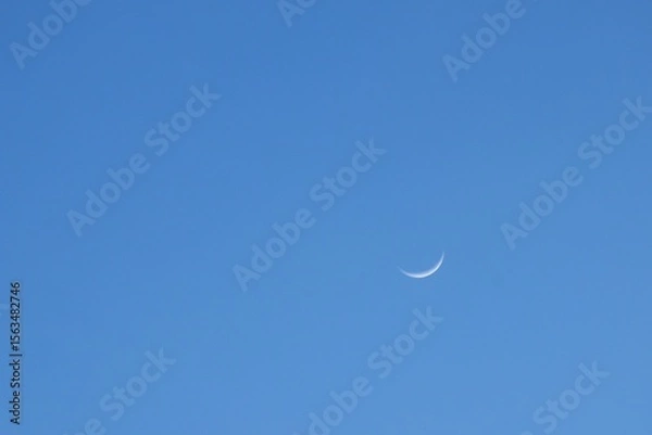 Obraz half moon floating on blue sky in twilight background 