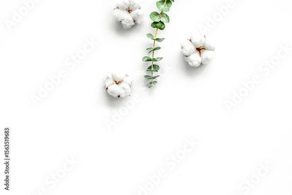 Obraz Natural flowers composition with eucalyptus branches and cotton on white background top view, flat lay copy space