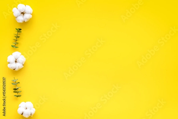 Obraz Flowers border with green eucalyptus branches and dry cotton flowers on yellow background top view copy space