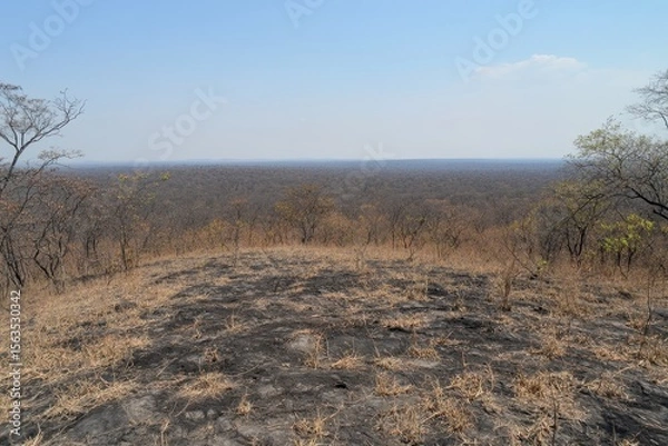 Obraz Expansive View of Burned Landscape with Sparse Vegetation and Sky