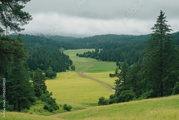 Obraz Serene Green Landscape with Rolling Hills and Misty Skies