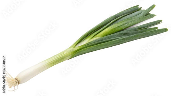 Obraz spring onion, isolated transparent background