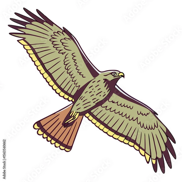 Obraz Flying Bird Isolated on White Background Vector Illustration