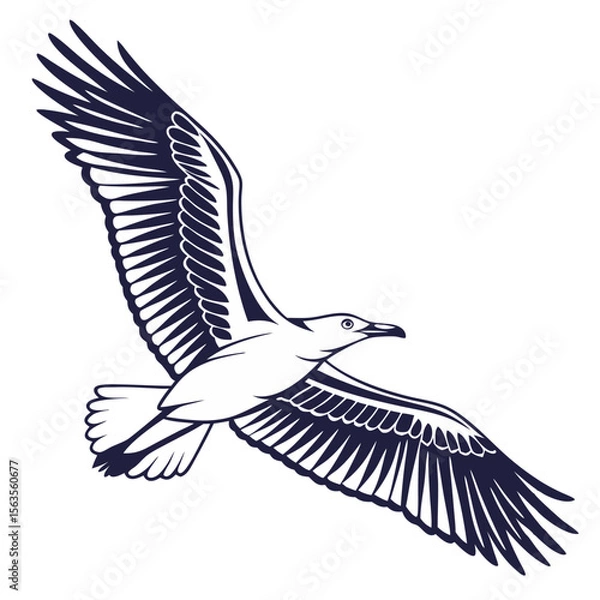 Obraz Flying Bird Isolated on White Background Vector Illustration
