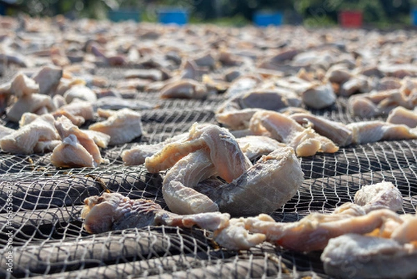 Obraz Drying salted fish under the hot sun. It is a traditional preservation method