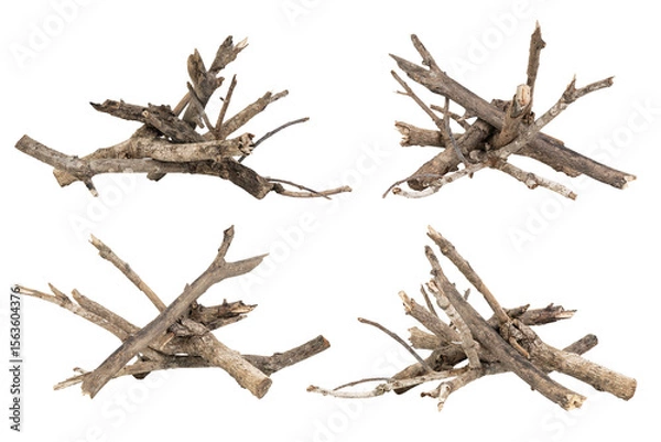 Fototapeta Set of natural dry twigs and small branches arranged in piles, isolated on white background with clipping path. Ideal for rustic, campfire, or craft concepts.