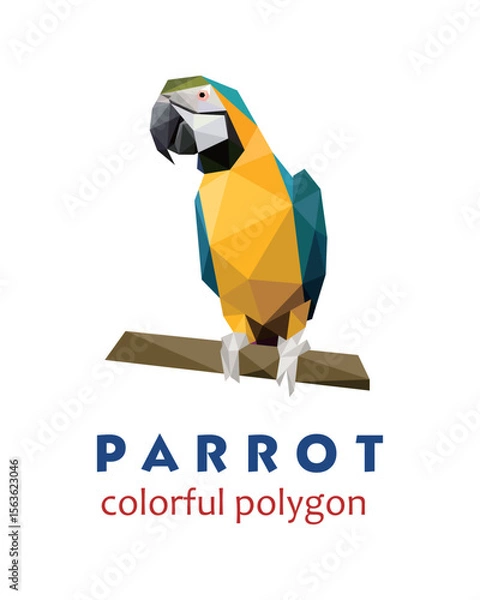 Fototapeta Beautiful parrot in Polygonal Low poly. abstract Parrot Icon Vector. Parrot Illustration Logo.