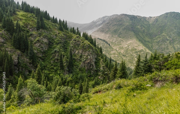 Fototapeta mountain landscape with trees and clouds