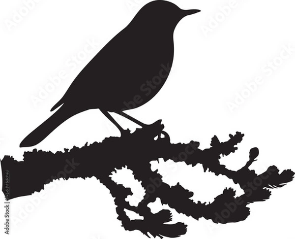 Fototapeta Brid group Silhouette 11