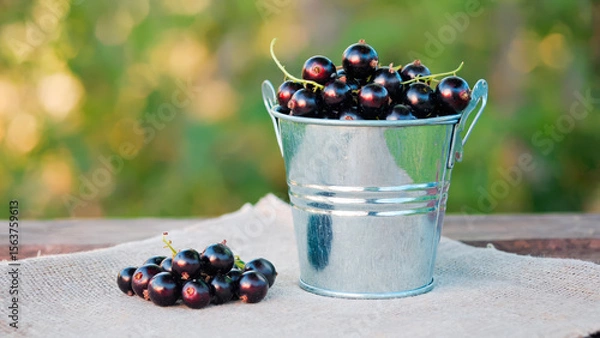 Fototapeta Juicy berries in metal buckets on a rustic table. Summer rustic still life in nature with strawberries, blueberries and black currants.