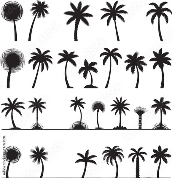 Fototapeta Palm tree silhouette vector collection featuring a variety of tropical shapes and styles for summer vacation beach nature and travel themed designs