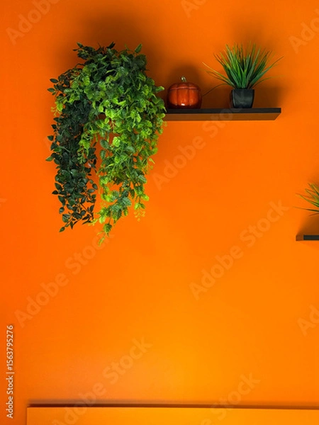 Obraz Bright orange wall with black shelves holding green plants and a pumpkin. Bold minimal interior design with vibrant color contrast