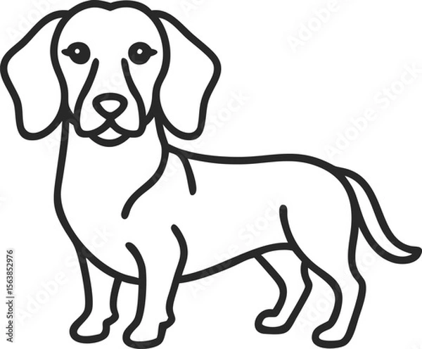 Fototapeta alpine dachsbracke line arts with white background 