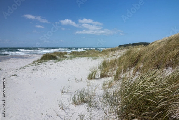 Fototapeta Dünen und Strandhafer am Strand von Vitte, Ostsee Insel Hiddensee, Mecklenburg-Vorpommern