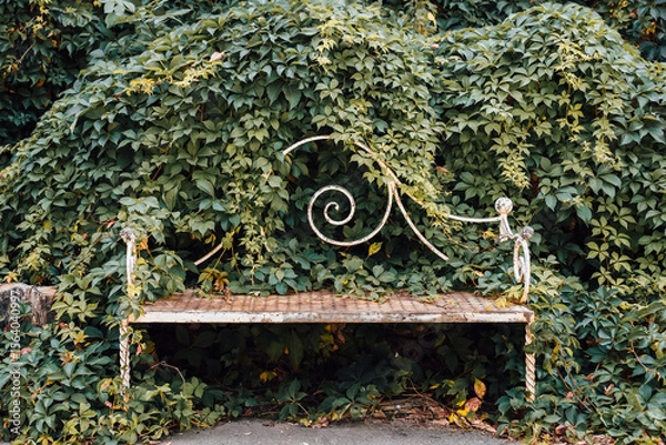 Obraz Overgrown bench surrounded by lush greenery in a tranquil outdoor setting