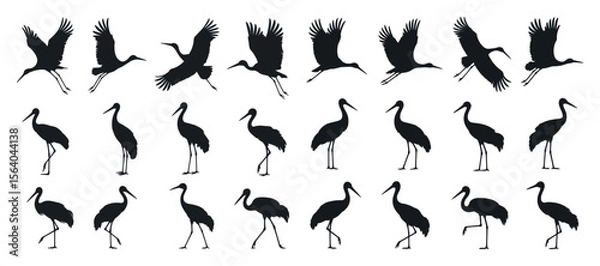 Fototapeta Collection of Black and White Crane Silhouettes in Various Positions cranes flight standing positions crane silhouette bird wildlife nature black white vector illustration