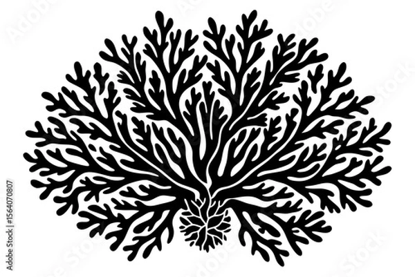 Fototapeta Delicate Coral Vector Design with Spreading Branches Artwork