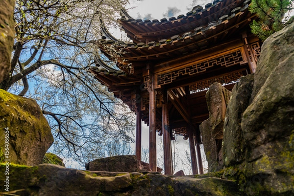 Obraz Japanese Architecture 