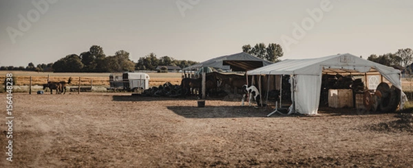 Obraz A large country square with tents and horses grazing in the distance, under a vast, bright sky, on a sunny summer day, ideal for horseback riding
