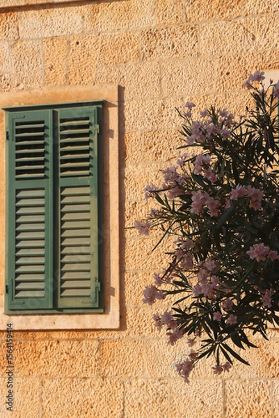 Obraz Traditional Mediterranean architecture in Vela Luka, on island Korcula, Croatia.