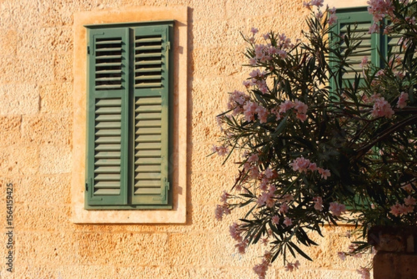 Obraz Traditional Mediterranean architecture in Vela Luka, on island Korcula, Croatia.