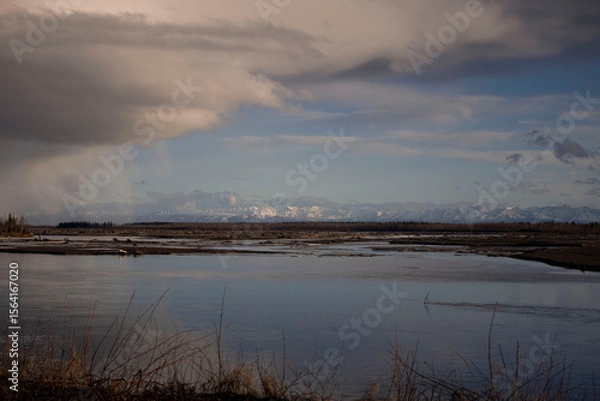 Obraz Mountains behind Salcha River