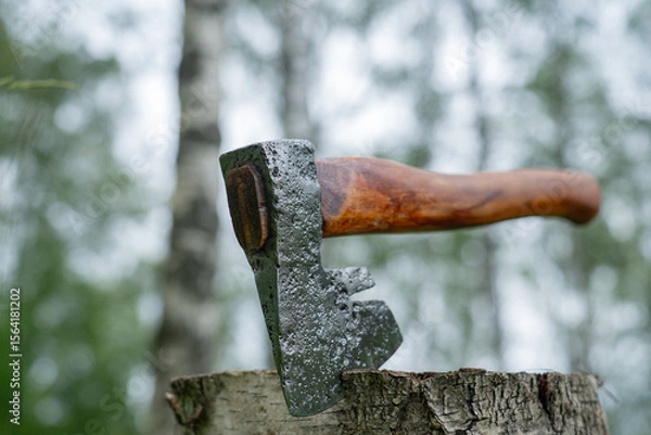 Fototapeta Austrian axe in green forest close up