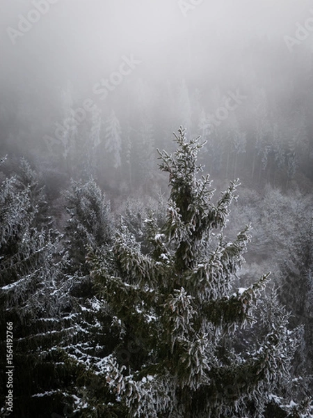 Obraz misty morning in the forest over snow covered trees drone photography winter mood