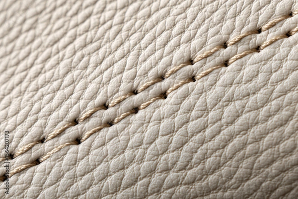 Obraz Pebbled beige leather texture with detailed stitching