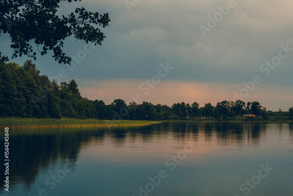 Fototapeta A beautiful lake in a forested area with aquatic plants, canes, reeds and trees on the shore under cloudy evening sky