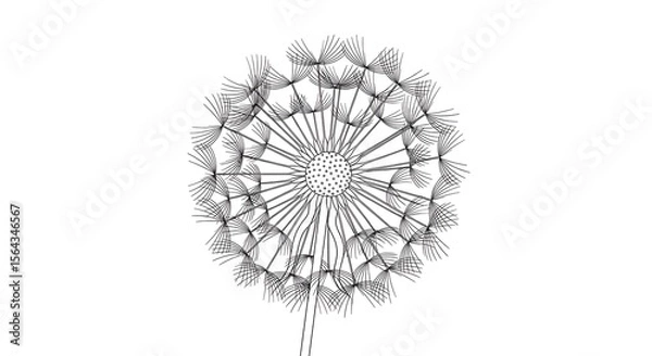 Obraz Detailed illustration of a dandelion seed head with delicate feathery parachutes on white background.