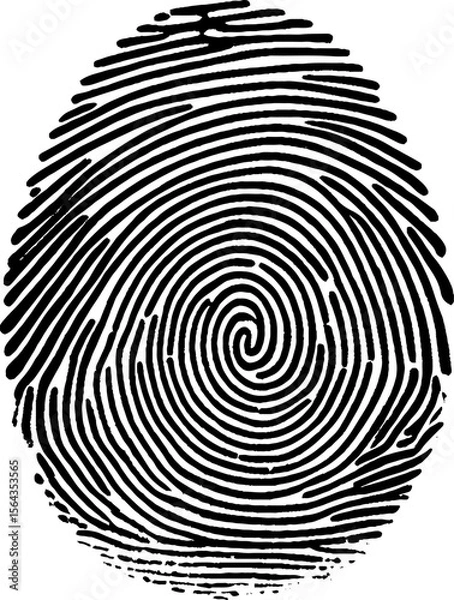 Obraz Fingerprint image. Vector design.