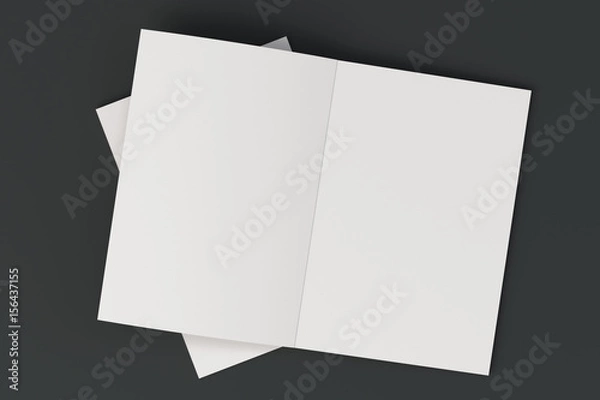 Obraz Two blank white open brochure mock-up on black background