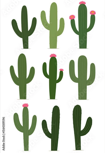 Fototapeta A simple flat design collection of various Saguaro cactus illustrations, some with pink flowers, perfect for creating desert landscapes or modern botanical patterns.
