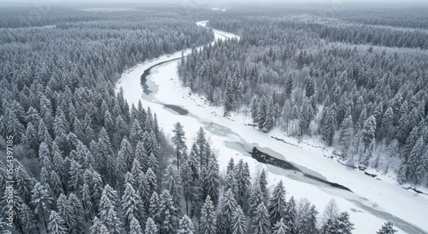 Fototapeta Aerial view of a winding river surrounded by snow-covered trees in a tranquil winter landscape