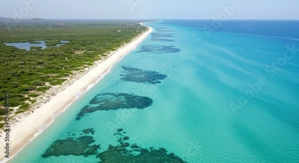 Fototapeta Aerial view of a serene tropical beach with clear turquoise waters and lush green coastline